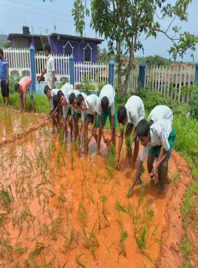 Hands on Farming Experience