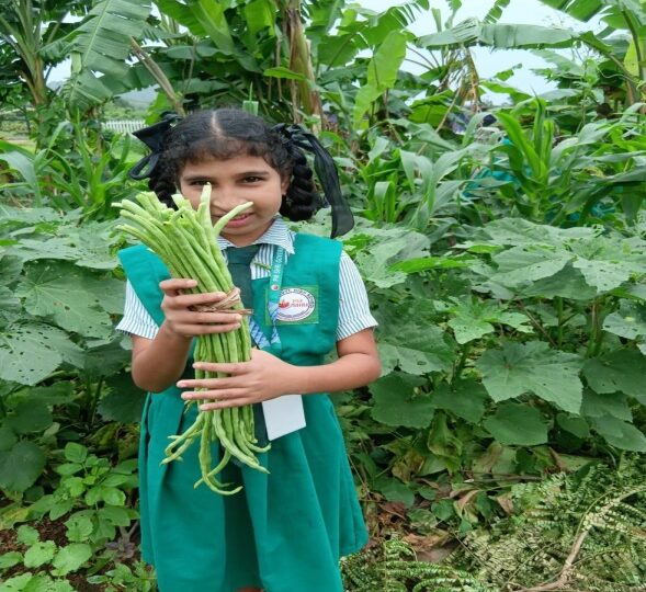 Kitchen Garden