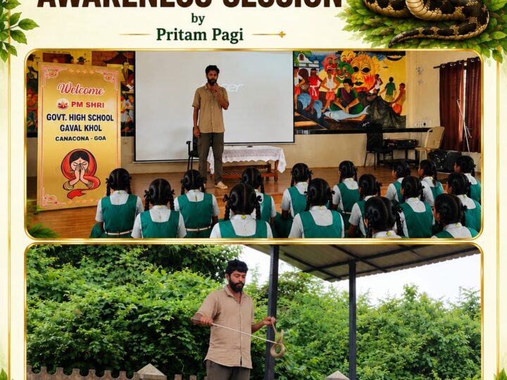Snake Awareness Program