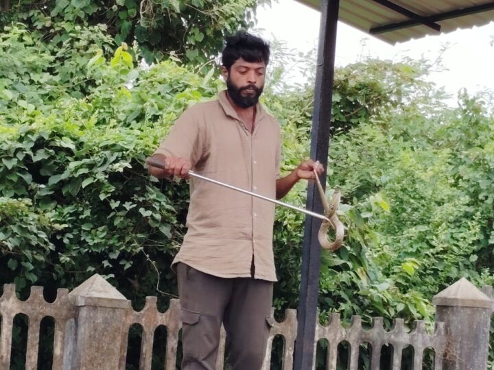 Snake Awareness Program